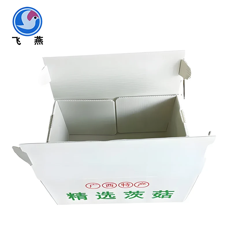 မှိုထုပ်ပိုး box ကို