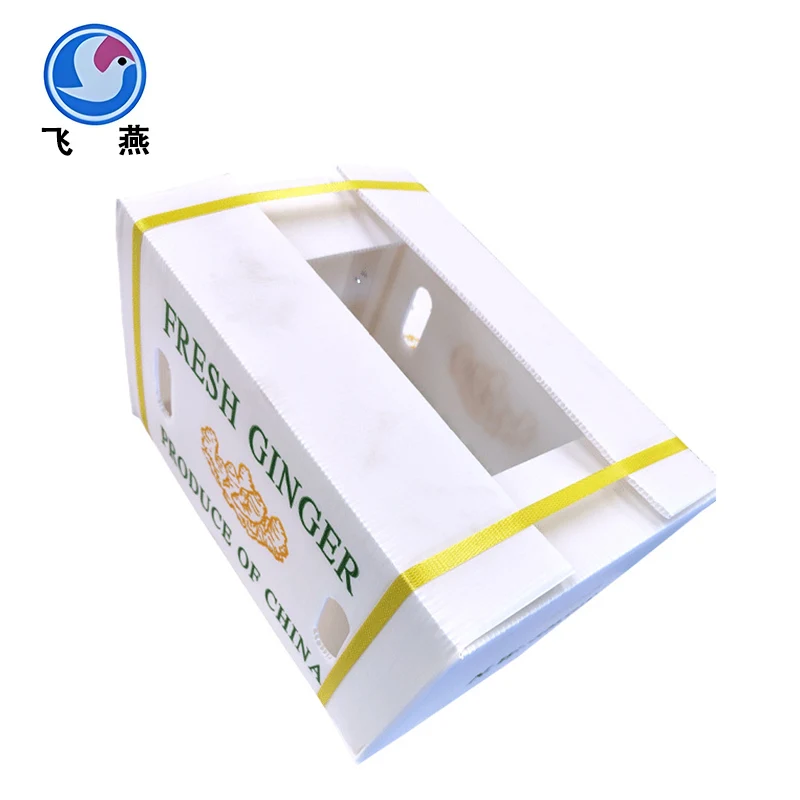 Persimmon Calcium ပလပ်စတစ်လိပ်ပြာသေတ္တာ